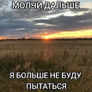 🤣 emoji Жизненные картинки Telegram sticker 21 of 99