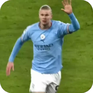 🇳🇴 emoji Manchester City 🩵🏙 Telegram sticker 17 of 49