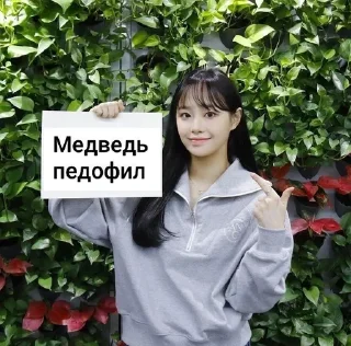 Sticker from Медведь скинь сиськи пж