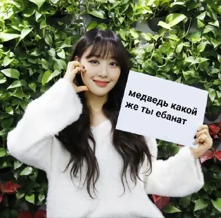 🌟 emoji Медведь скинь сиськи пж Telegram sticker 10 of 10