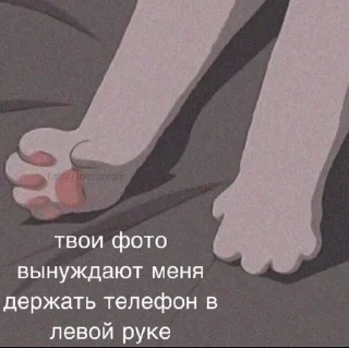 Sticker from купите гроб | @meowcholic