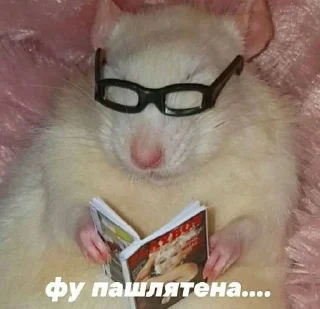 Sticker from купите гроб | @meowcholic
