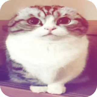 🖼 emoji By @МаСтУр#ОлЯ @MoiStikiBot Telegram sticker 6 of 36