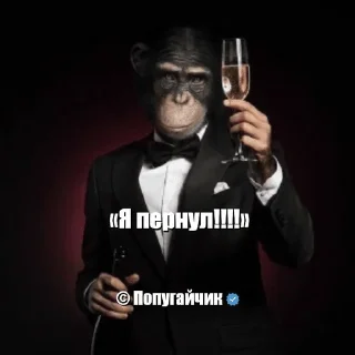 Sticker from Шедевро цитаты