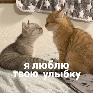 🥰 emoji Котики и мы @anime4_arts Telegram sticker 16 of 40