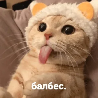 😝 emoji Котики и мы @anime4_arts Telegram sticker 2 of 40