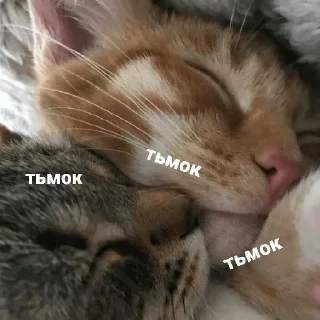 💋 emoji Котики и мы @anime4_arts Telegram sticker 20 of 40