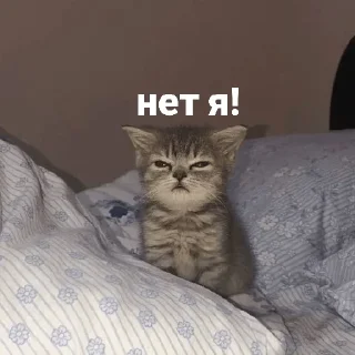 😡 emoji Котики и мы @anime4_arts Telegram sticker 11 of 40