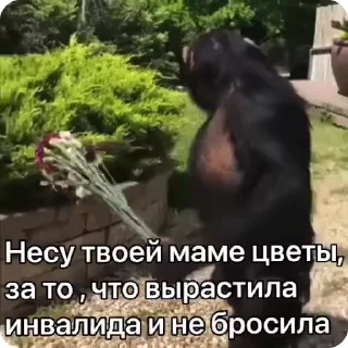 Sticker from Попец