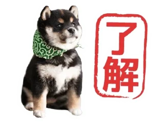 Sticker from Shiba Inu 🐾