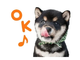 Sticker from Shiba Inu 🐾