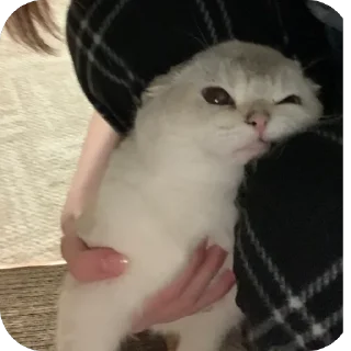🫥 emoji аришка сижка купальник Telegram sticker 22 of 22