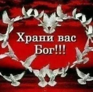 🙏 emoji Больше стиков тут: @stikery4 Telegram sticker 14 of 75