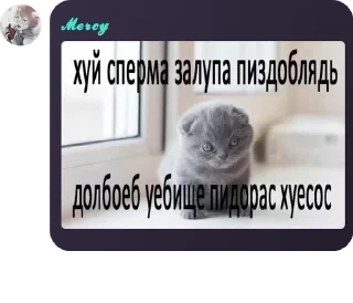 🙍 emoji комфортики🌹 Telegram sticker 20 of 82
