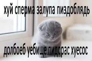 🌟 emoji комфортики🌹 Telegram sticker 19 of 82