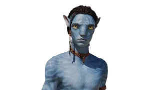 Sticker from for neteyam