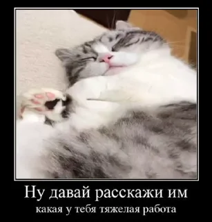 Sticker from ЕБАНУТЫЙ ПАК  от @Thebendleyz