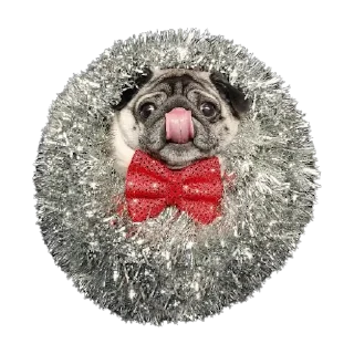 Sticker from Pugs doing things