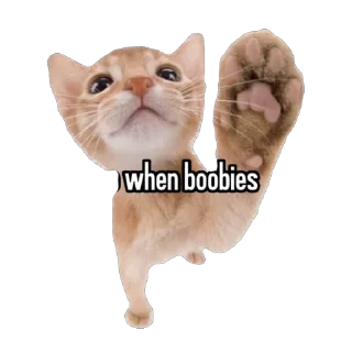 Sticker from Boobies