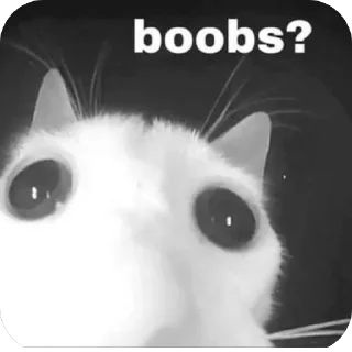 Sticker from Boobies