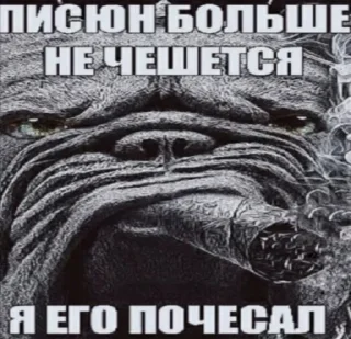 🤩 emoji @TgEmodziBot ебейшие пикчи Ярика вторая часть Telegram sticker 6 of 97
