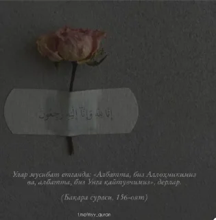 Islamic ✨ sticker 1