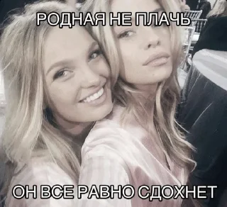 🌟 emoji ало бизнес?дада деньги Telegram sticker 9 of 52