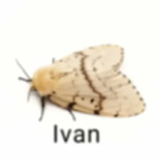 😎 emoji UntoTitsOrnis Telegram sticker 24 of 61