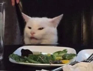 Sticker from Chai's Cat Memes