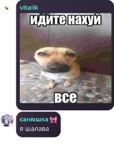👨‍🤝‍👨 emoji АБЩЕНЯ сыновья депутатов даркн pack by @QuotLyBot Telegram sticker 6 of 33