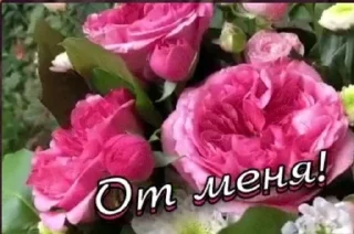 Sticker from открыточки из одноклассников😍