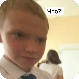 Sticker from Негры🧑🏿‍🦱