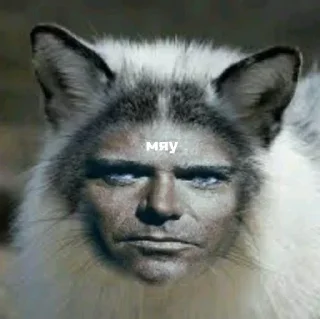 😺 emoji черти какие-то Telegram sticker 7 of 91