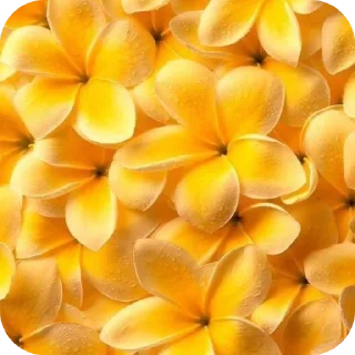 🍲 emoji ЭБРУ для цгс. НЕ БРАТЬ:: @Maria_Ozturk ➡️ @Ctikerubot Telegram sticker 11 of 115