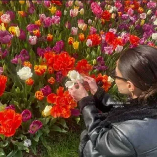 😅 emoji буче рлс⁴ @mia1cle НЕ БРАТЬ!! ➡️ @Ctikerubot Telegram sticker 6 of 120