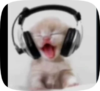 🐱 emoji Video Favorite stickers Telegram sticker 6 of 16