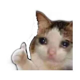 🤝 emoji Video Favorite stickers Telegram sticker 15 of 16