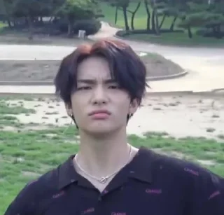 😒 emoji хёнджин среди гномов @lovely_skz Telegram sticker 22 of 63