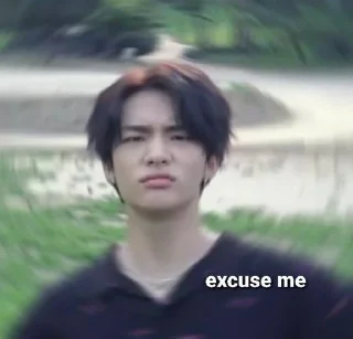 😑 emoji хёнджин среди гномов @lovely_skz Telegram sticker 7 of 63