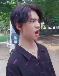 🍪 emoji хёнджин среди гномов @lovely_skz Telegram sticker 19 of 63