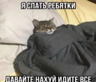 😴 emoji razum chist, boshka pysta Telegram sticker 20 of 87