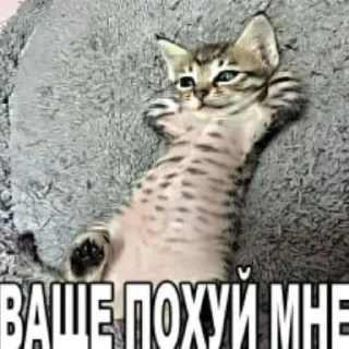 💅 emoji razum chist, boshka pysta Telegram sticker 19 of 87