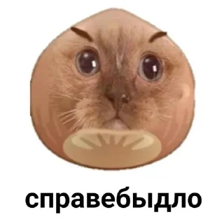 🌟 emoji Abobysnys Telegram sticker 17 of 29