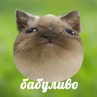 🌟 emoji Abobysnys Telegram sticker 15 of 29