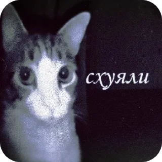 Sticker from slaaay