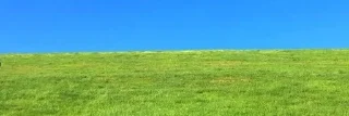 приколы sticker 3