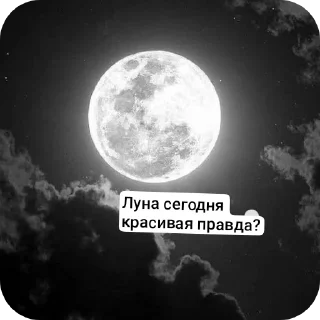 Sticker from КамАЗ
