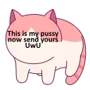 🐱 emoji 好玩的贴纸 @tiezhi18 TRX闪兑 @dj10bot Telegram sticker 23 of 120