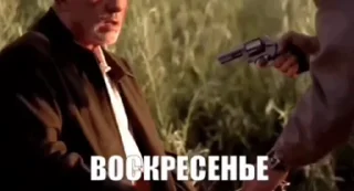 😕 emoji Будь ты проклят, Перри Утконос Telegram sticker 12 of 115