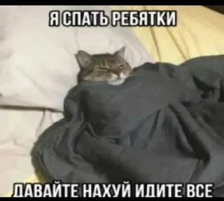 🌟 emoji Будь ты проклят, Перри Утконос Telegram sticker 13 of 115